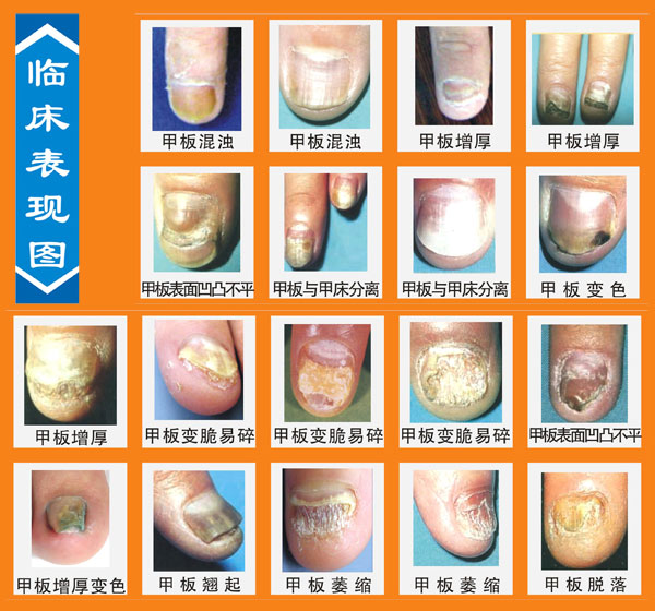 香港宝典免费大全资料